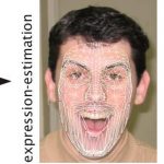An application of facial animation techniques to expression normalization for robust face recognition