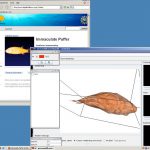 Interactive 3D graphics for web-based data analysis and visualization for the digital fish library (DFL)