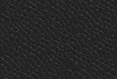 2006 Poster: Miyata Leather Texture Generation