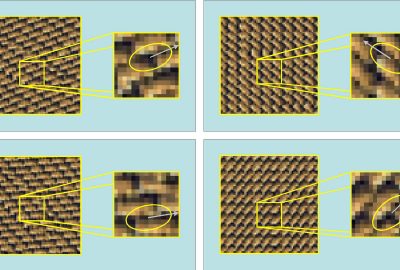 2006 Poster: Taponecco Elliptical weighting for directional enhancement in controlled texture synthesis
