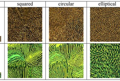 2006 Poster: Taponecco Elliptical weighting for directional enhancement in controlled texture synthesis