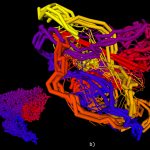 Using flow-visualization for studying sub-molecular motions