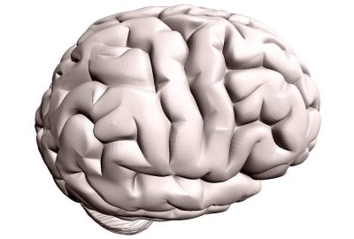 2006 Poster: Ho Extended Cubical Marching Squares for Surface Extraction from Various Kinds of Volumetric Structure