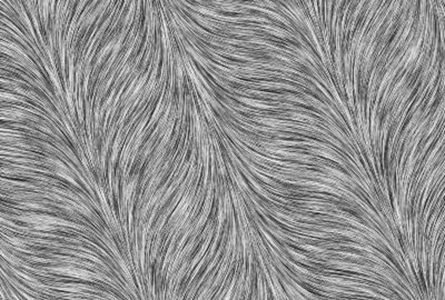 2006 Poster: Shahar Visualization with smooth oriented textures and flows: Insights from Perception