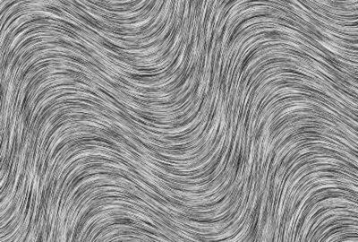 2006 Poster: Shahar Visualization with smooth oriented textures and flows: Insights from Perception