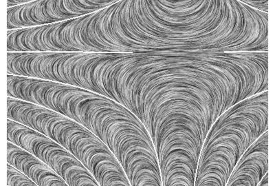 2006 Poster: Shahar Visualization with smooth oriented textures and flows: Insights from Perception