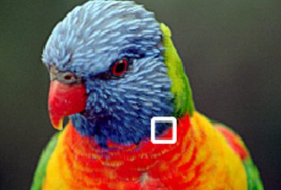 2006 Talks: Alexandersson_Compressing Dynamically Generated Textures on the GPU