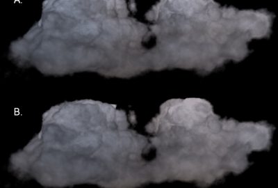 2006 Talks: Zafar_Scattered Spherical Harmonic Approximation for Accelerated Volume Rendering