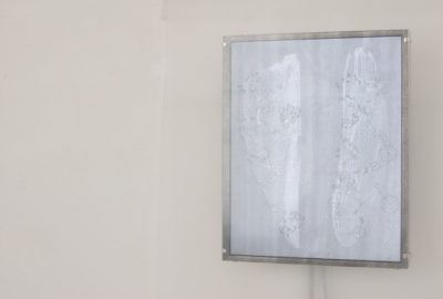 2006 Talks: Capozzo_Making Exuvia: media hybridization as a method.