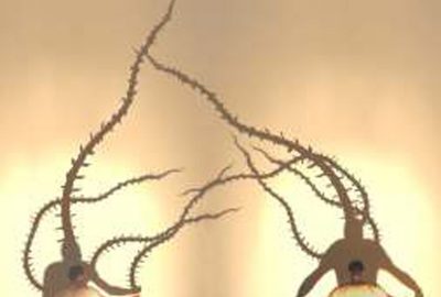 2006 Talks: Cypher_BIOPHILIA