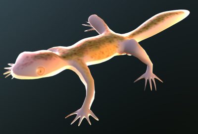 2006 Talks: Franc ̧ois_Subsurface Texture Mapping