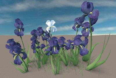 2006 Talks: James_Mesh Ensemble Motion Graphs