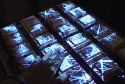 2006 Talks: Kushiyama_Thermoesthesia: About collaboration of an artist and a scientist