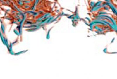 2006 Talks: Lang_Laser Scanning of Three-Dimensional Time-Varying Fluid Phenomena