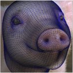 Markerless facial motion capture using texture extraction and nonlinear optimization