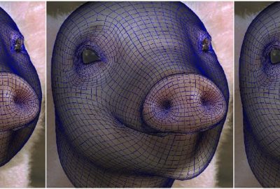 2006 Talks: Vendrovsky_Markerless Facial Motion Capture using Texture Extraction and Nonlinear Optimization