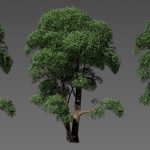 Simplified tree lighting using aggregate normals
