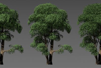 2006 Talks: Peterson_Simplified Tree Lighting Using Aggregate Normals