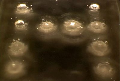 2006 Talks: Pohflepp_Eavesdripping: Water as physical display