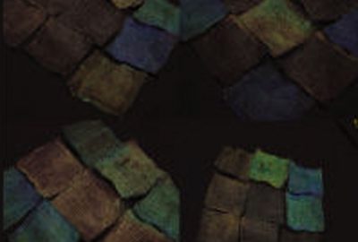 2006 Talks: Shibutani_Fabcell:Fabric Element