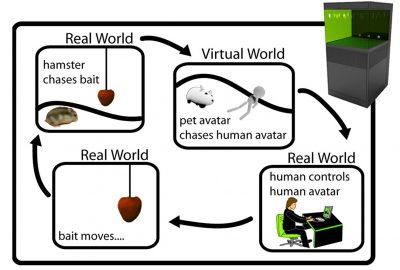 2006 Talks: Tan_Metazoa Ludens