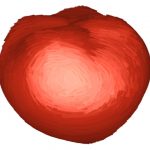 A dynamic drawing algorithm for interactive painterly rendering