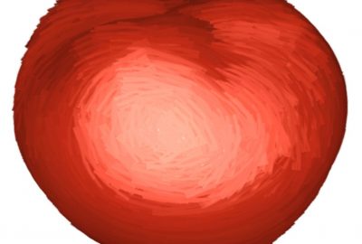 2006 Talks: Vanderhaeghe_A dynamic drawing algorithm for interactive painterly rendering