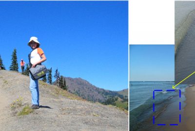 2006 Talks: Wang_Simultaneous Matting and Compositing