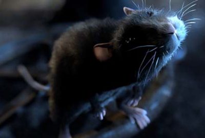 2006 Talks: Weil_The making of One Rat Short