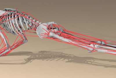 2006 Talks: Weinstein_Impulse-Based PD Control for Joints and Muscles