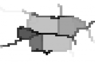 2007 Poster Abeysinghe Shape Preserving Gray Scale Skeletonization on 3D Density Maps 01