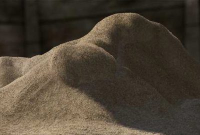 2007 Talks: Ammann_The Birth of Sandman