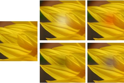 2007 Talks: Bailey_Subtle Gaze Direction