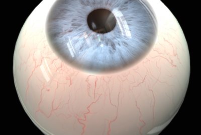 2007 Talks: Guillaume Franc ̧ois_Anatomically Accurate Modeling and Rendering of the Human Eye