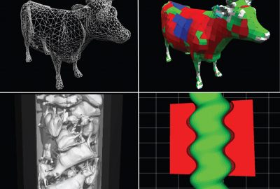 2007 Talks: Kaufman_Contact Trees: Adaptive Contact Sampling for Robust Dynamics