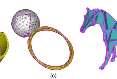 2007 Talks: Liu_Surface Network Construction from Non-parallel Cross-sections