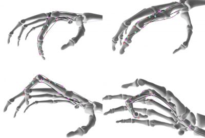 2007 Talks: Sueda_Simulating Coordinated Movement with Tendons