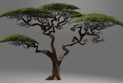 2008 Talks: Budsberg_Beyond Procedurally Modeled Foliage in Madagascar: Escape 2 Africa