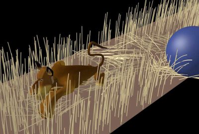 2008 Talks: Rindge_Shaping, Simulating and Rendering the Grasses of Madagascar: Escape 2 Africa