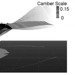 Exploration of bat wing morphology through a strip method and visualization