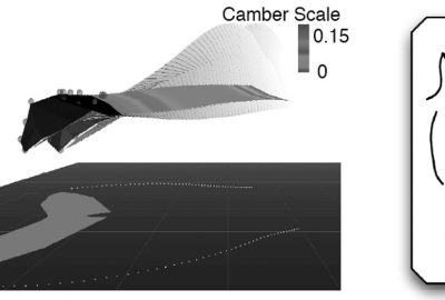 2010 Talks: Chen_Exploration of Bat Wing Morphology through A Strip Method and Visualization