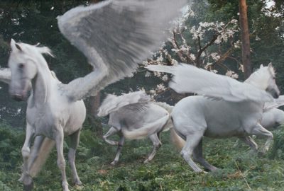2010 Talks: Leaning_Feathers for Mystical Creatures: Creating Pegasus for Clash of the Titans