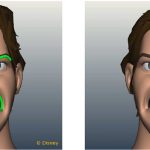 A deformer-based approach to facial rigging
