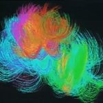 SIGGRAPH 1989 Animation: Anderson_ALEA