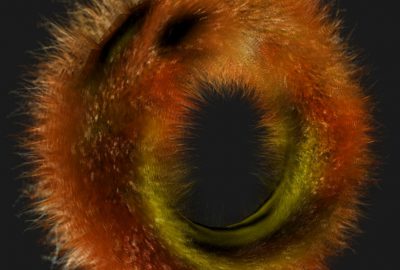 2002 Talks: Isidoro_User Customizable Real-Time Fur