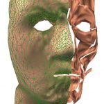 Magical face: integrated tool for muscle based facial animation