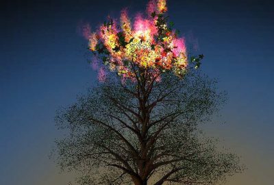 2007 Posters: Konttinen Image Space Particle Emission