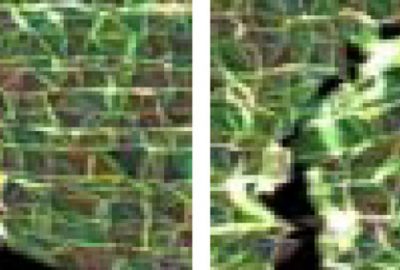 2007 Posters: KUSHIYAMA Magnetosphere