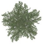 Tree model simplification for fast interactive rendering