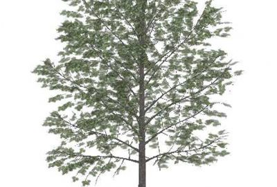 2007 Posters: Lee Tree Model Simplification for Fast Interactive Rendering